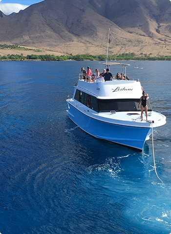 Leilani Boat whale watching tour